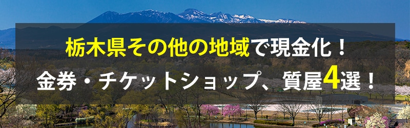 栃木県その他の地域で現金化！栃木県その他の地域の金券・チケットショップ、質屋4選！