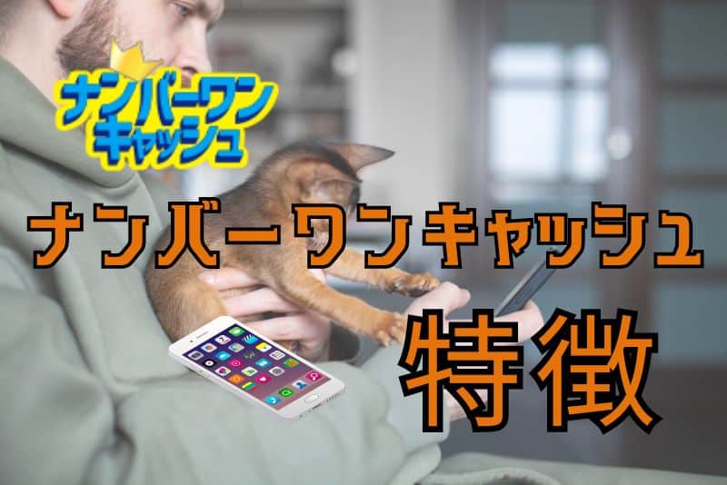 ナンバーワンキャッシュの特徴